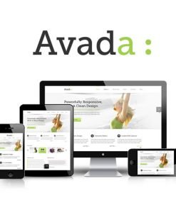 Avada Responsive Multi-Purpose Theme